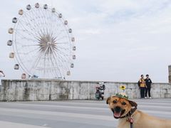 -奉贤海滩