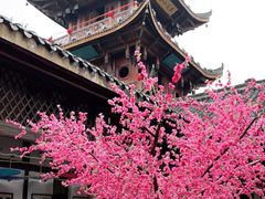 -中天楼