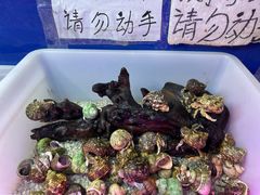 -双季花艺园艺市场(浦东店)
