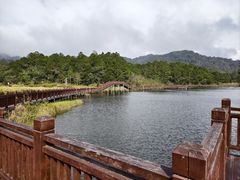 -海南热带雨林国家公园吊罗山景区