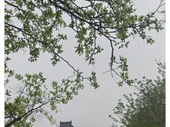 -丽江庭院·云南野生菌·海鲜火锅(鼓楼四合院店)