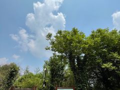 -云南野生动物园