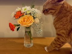 -何兮花店·气球派对鲜花店(马桥银春路万科城店)