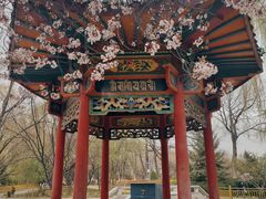 -宗角禄康公园