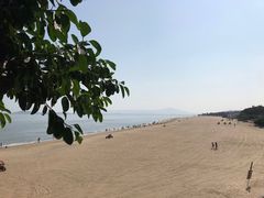 -八婆婆烧仙草(曾厝垵店)