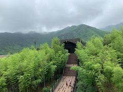 -大唐贡茶院