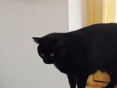 -春风十里咖啡馆