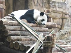 -泉州海丝野生动物世界