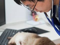 -伟伟宠物医院·CT影像中心·瑞派犬猫综合性门诊(汉口总院)