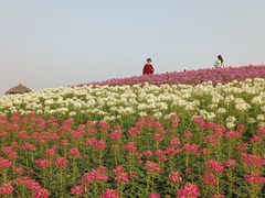 -径山花海