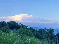 -白草畔自然风景区