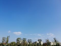 -扬州大学(扬子津校区)