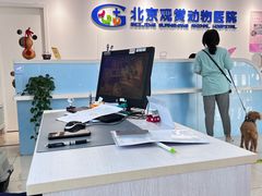 -北京观赏动物医院·24小时大型综合·猫专科·异宠专科