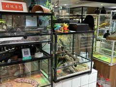 -酷以爬仙阁实体爬宠店·守宫·蜥蜴·专业繁育