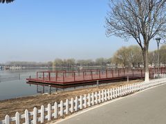-石家庄市植物园