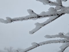 -江南天池
