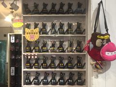 -猫咪博物馆(顶澳仔猫街店)