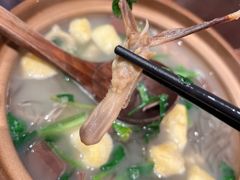 -古都历食南京菜·烤鸭·鸭血粉丝·汤包(南京博物院店)