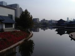 -雁滩公园