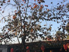 门面-姥家大锅台(魏各庄路店)