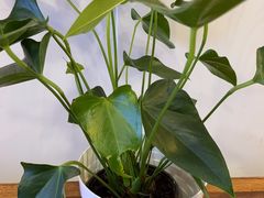 -香山湖渔家大院