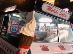 -富豪雪糕车流动点(尖沙咀店)