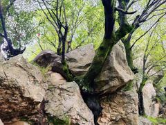 -终南山南五台景区