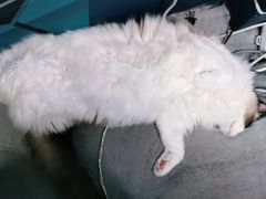 -零纪元VR体验馆·桌游(黄浦店)