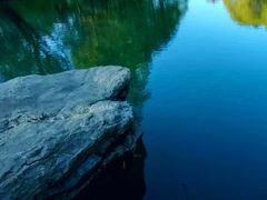 -贡湖湾湿地公园