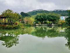 -林丰温泉度假山庄