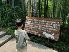 -东明山森林公园