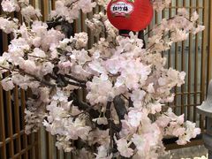 -割烹旭日本料理(龙湖狮山天街店)