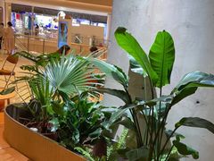 -Wagas沃歌斯(武汉恒隆广场店)