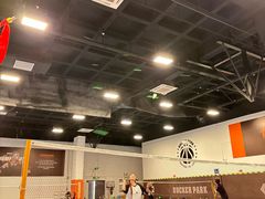 -逐光体育羽毛球乒乓球