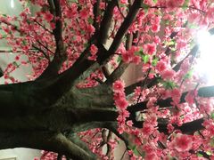 -尕胡才炕锅烤羊肉馆(八一路店)