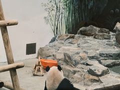 -杭州动物园