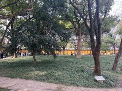 -西园戒幢律寺