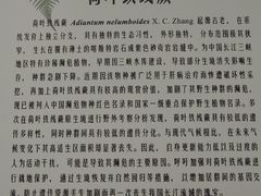 -国家植物园南园