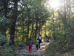 -阳台山自然风景区