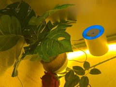 -禧瑞 ·丝浴主题·水疗·spa(中山公园店)