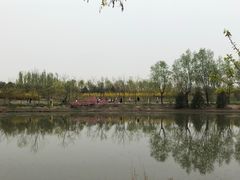 -东郊湿地公园