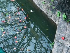 -晓港公园