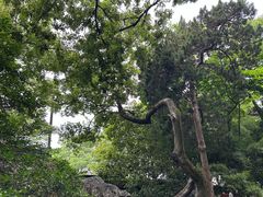 -绮园景区