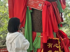 -敬亭山风景名胜区