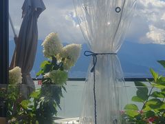 -野菌皇海景野生菌火锅(滨海大道店)