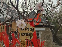 -天毓山庄·餐厅