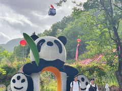 -栾川竹海野生动物园