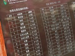 -呀路古热带植物园