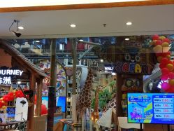 -卡通尼·Safari非洲探索乐园·生日会(金桥国际商业广场店)