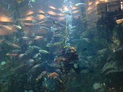 -西雅图水族馆